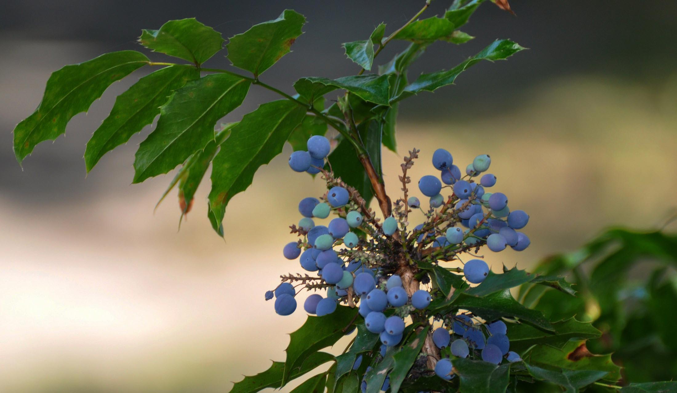 9 likovna kolonija URIHO Zagreb 2015 149
